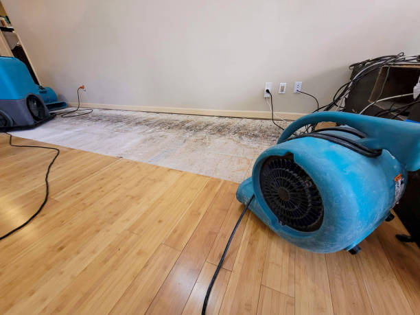 Professional Water Damage Repair technician working in Wheeler, TX